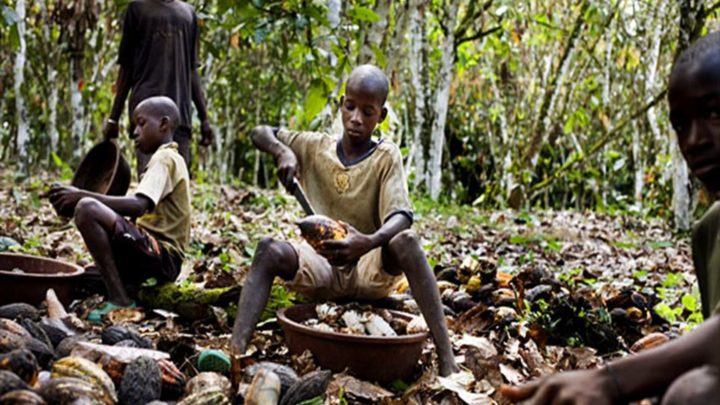 Côte d’Ivoire : Travail des enfants dans les zones cacaoyères, le pouvoir censure un reportage de nos confrères de France 2