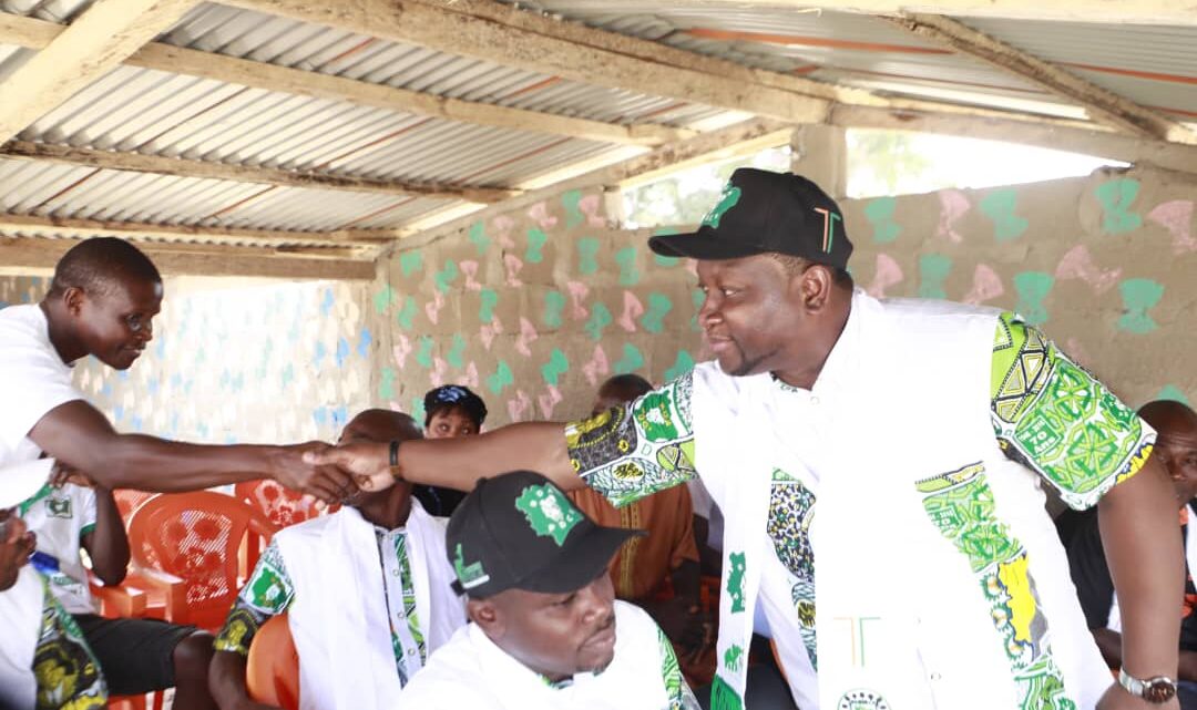 Chronique  /Daniel Ninsemon – Militant Cadre du PDCI-RDA.   La paix n’est pas un vain mot mais les mots qui divisent , détruisent la paix