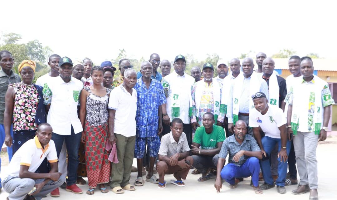 Chronique ( Daniel Ninsemon – Militant Cadre du PDCI-RDA):  LE DÉVELOPPEMENT, NOUVEL OUTIL DE CHANTAGE POLITIQUE